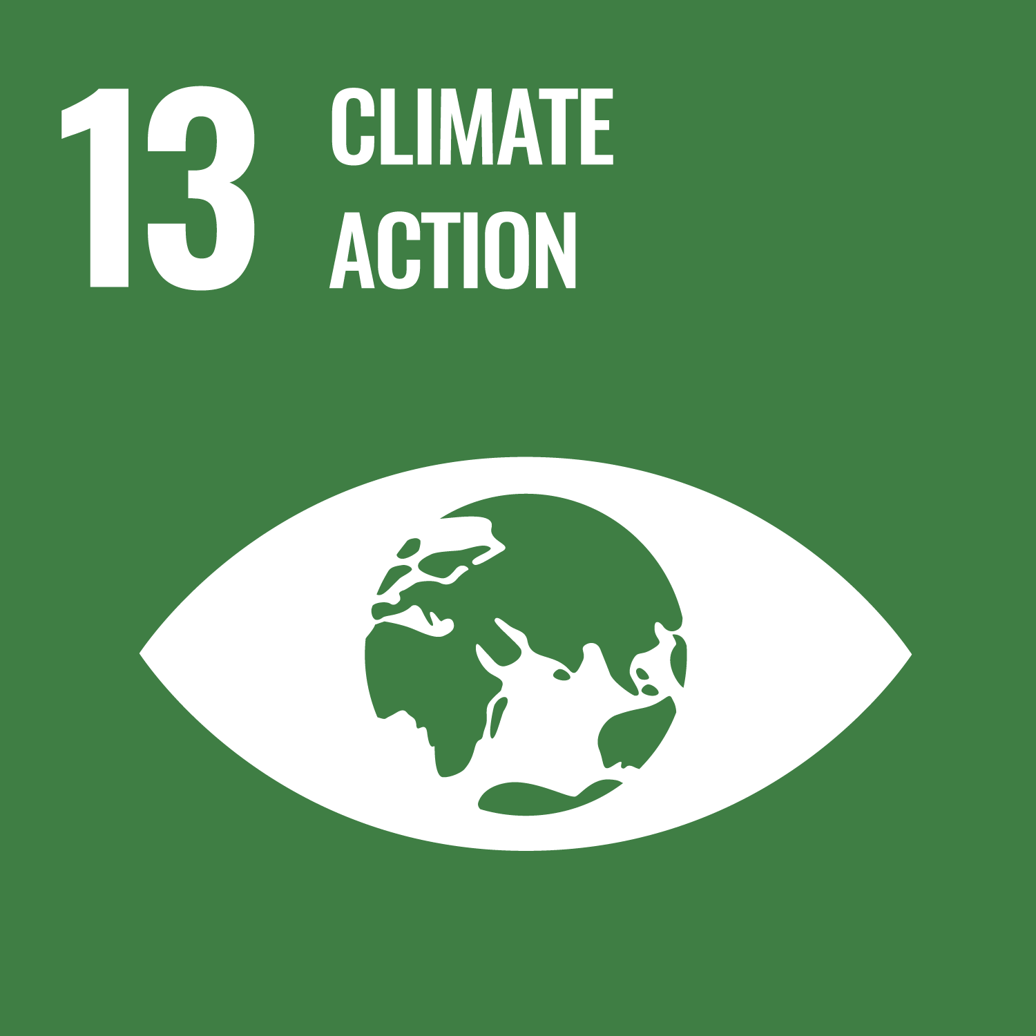 SDG13 Logo