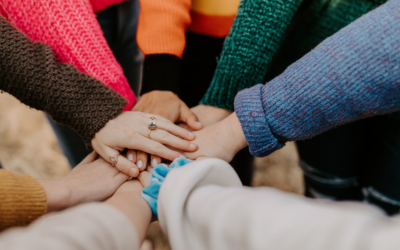 Empowering Youth for a Sustainable Future: SSF and YOUTHTOPIA Join Forces